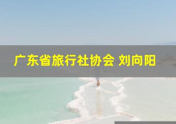 广东省旅行社协会 刘向阳